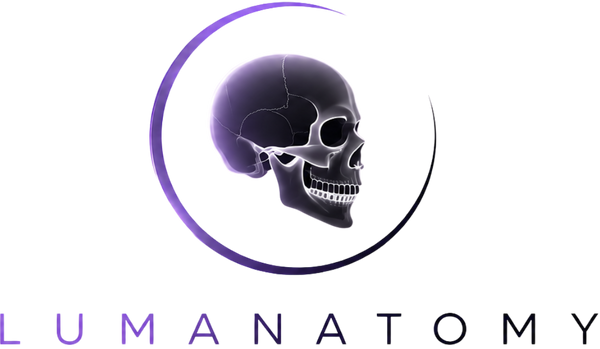 Lumanatomy